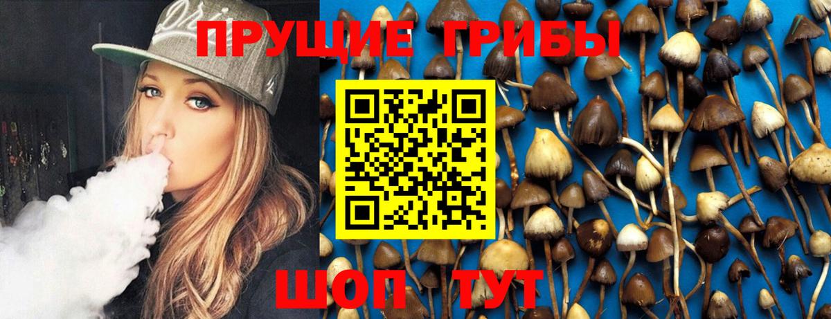 Галлюциногенные грибы Cubensis Малгобек